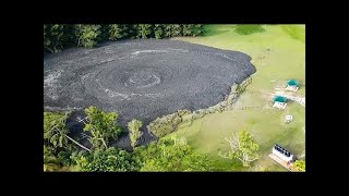 遭遇の確率は10億分の1?!カメラに収められた驚くべき自然現象