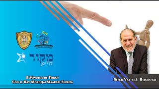 Estudio de Torah diario - Miercoles 29 Mayo - Bejukotai -  Rav Mordejai Maarabi