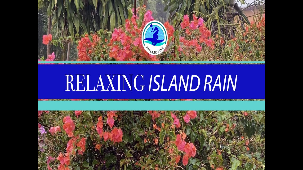 Relaxing Island Rain Jamaican rainfall with natural sounds YouTube