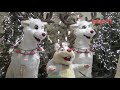 kerstgedachte