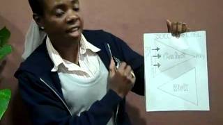 The Success Model:  Quantum Learning Style