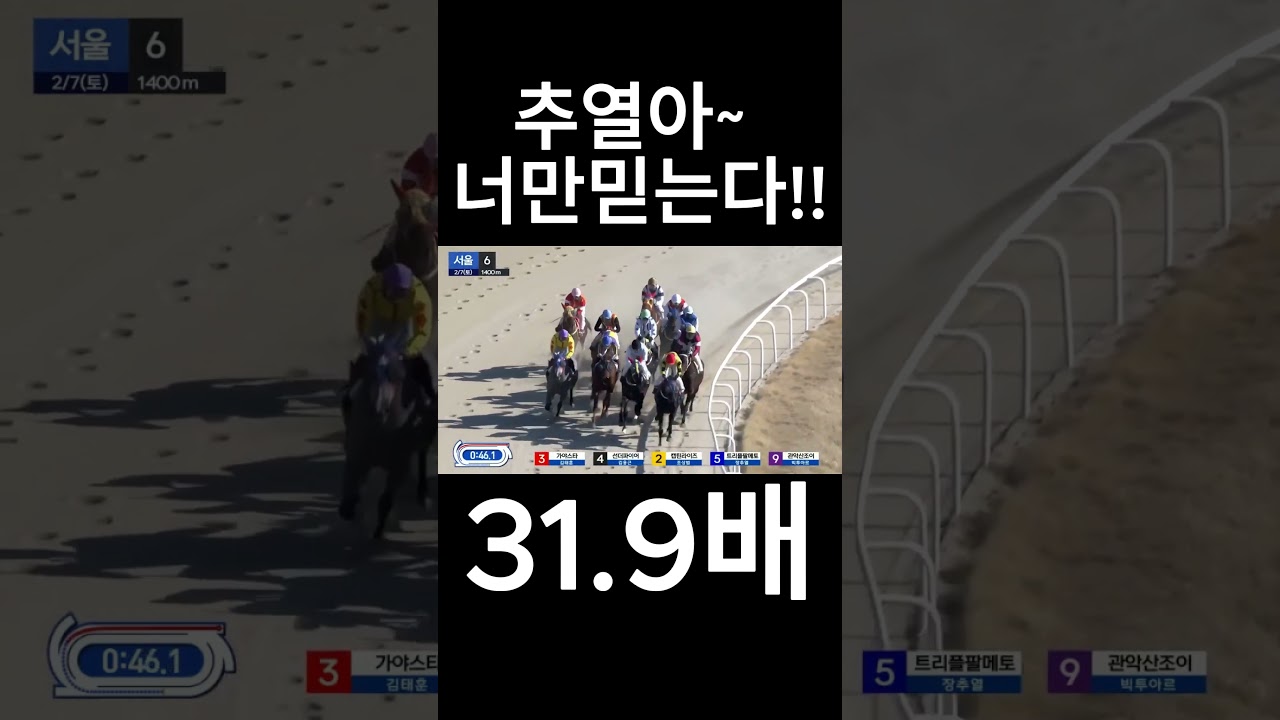 추열아~  너만 믿는다  #경마  #경마예상  #경마방송  #경마예상방송  #서울경마  #금요경마  #토요경마  #일요경마 #경마장