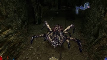 Foaling Around With Arx Fatalis part 13