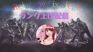 [R6S][PS版]シルバー目指してランクします！参加型だよー　#47　初見・常連大歓迎