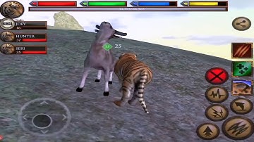 Tiger VS Lion, Python, Giraffe, Hippo, Elephant, Leopard, Panda, Ultimate Jungle simulator, part 1
