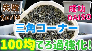 ベアタンク飼育さようなら。100均の三角コーナーでろ過強化してみた【ふぶきテトラ】