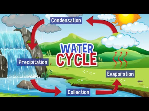 Water Cycle for
