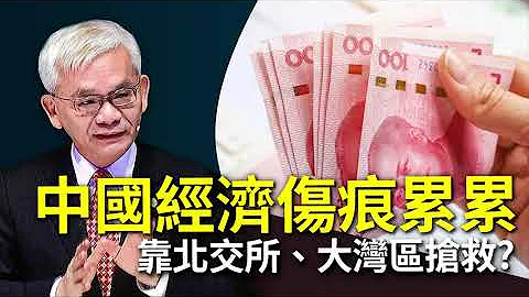 龙观点EP277｜ 中国经济伤痕累累﹐能靠北交所、大湾区抢救？ - 天天要闻