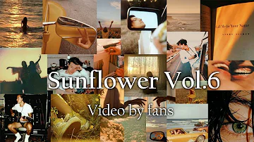 SUNFLOWER VOL.6- HARRY STYLES VIDEO BY FANS