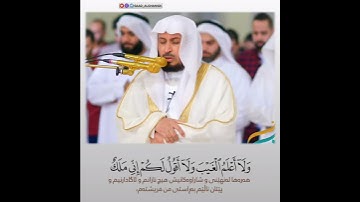 قرآن الكريم بصوت سعد الغامدي_ حالات واتس اب دينية _سورة الأنعام _قل لا أقول لكم عندى خزائن الله....