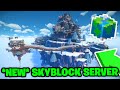 Minecraft SMP &amp; Skyblock Live! *FREE TOP RANK* (BEDROCK/JAVA) 1.20+