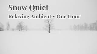 Snow Quiet｜Relaxing Ambient・One Hour