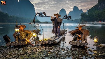 Chim cốc đánh cá giúp ngư dân thu hơn 100 triệu mỗi tháng|Thế Giới động vật|