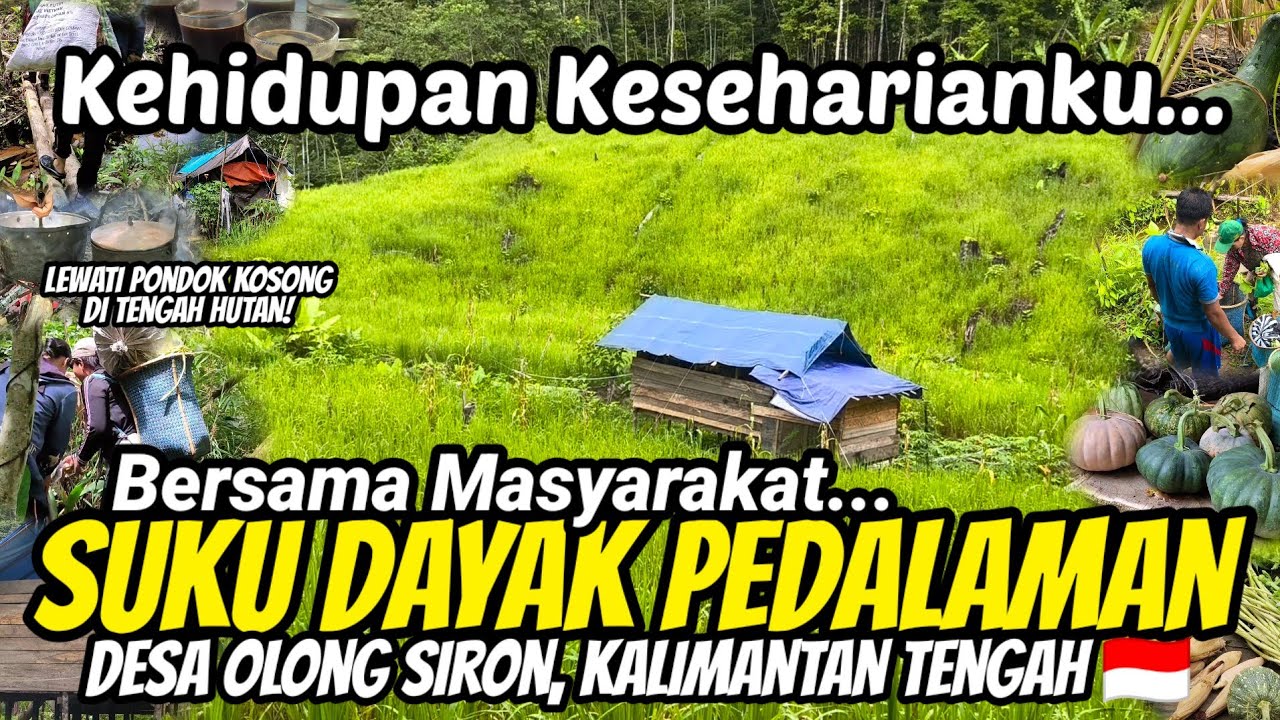 JALUR TAK TERLIHAT! KESEHARIANKU IKUT MASYARAKAT SUKU DAYAK PEDALAMAN MENUJU LADANG DI TENGAH HUTAN