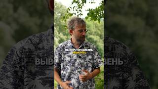 Мужик нашёл Мамонта! #наука #дробышевский #fyp