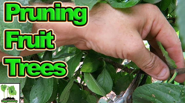 Easily Prune Fruit Trees Correctly