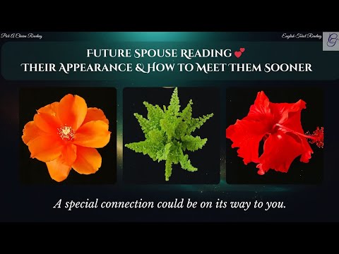 ❣️Future Spouse Reading 💕 Their Appearance & How to Meet Them Sooner ❣️#futurespouse #pickacharm 