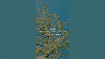 #قرآن #قران_كريم #آيات #خشوع #طمئن_قلبك #ارح_قلبك #أرح_سمعك_وقلبك #شورتس #احمد_محسن #ابو_فله #ترند