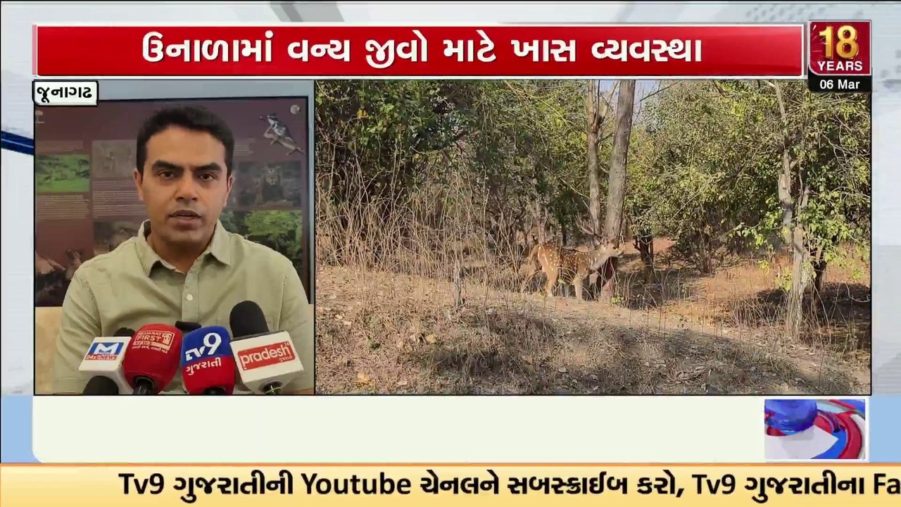 Junagadh: Gir Forest Summer Care: 600+ Water Points Activated for Lions & Wildlife | TV9Gujarati