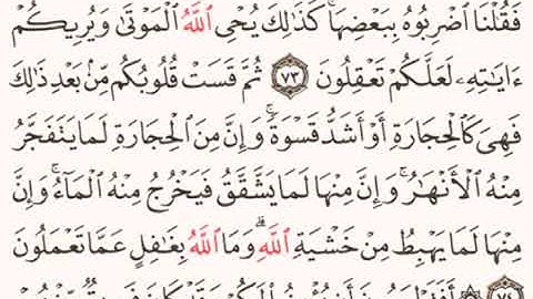 القرآن الكريم - ماهر المعيقلي - سورة البقرة  - صفحة 11
