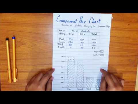 Video: Wat zijn de componenten van een staafdiagram?