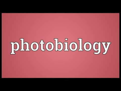 Header of photobiology