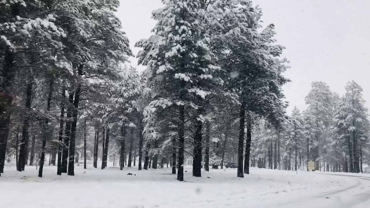 Snowfall at Flagstaff Tuthill I Amazing Driving Views during Winter