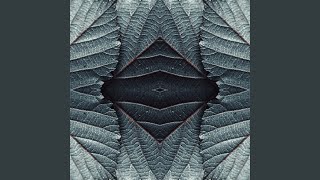 Of the Spaces in Between