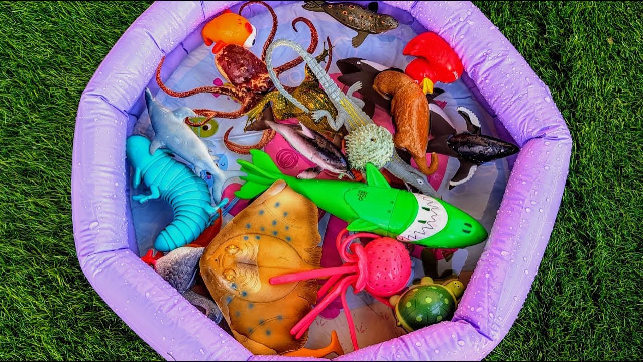 Sea Animals for Toddlers — Names & Fun Facts with Toys | Preschool Learning Fun