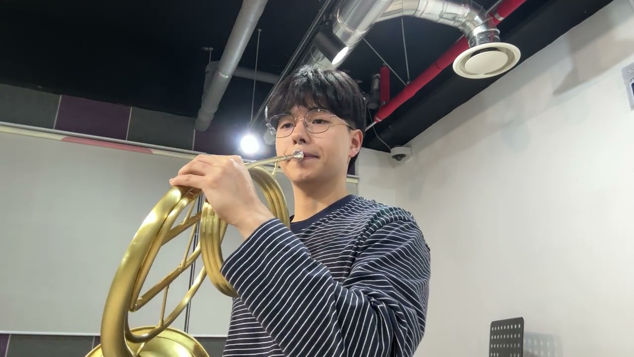 Sinfonia Concertante (Movement I)