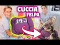 CUCCIA per i PET con una FELPA! Regalo bellissimo ai miei ANIMALI! (tutorial)