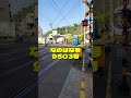 🚃🌼⚡ DiselTrain【なのはな号】× Tram【鹿児島市電9503号】Crossing at 新川4号踏切! 🚦✨