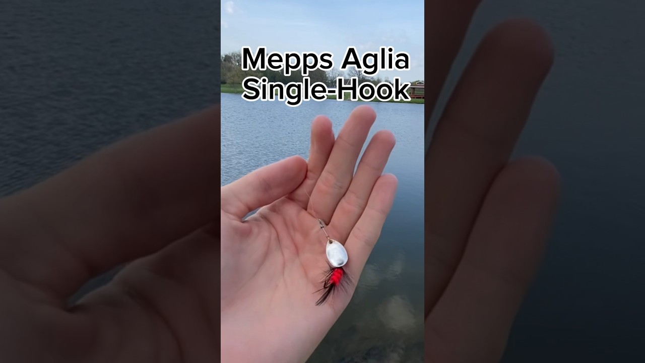 Lure Review: Mepps Aglia Single-Hook #shorts