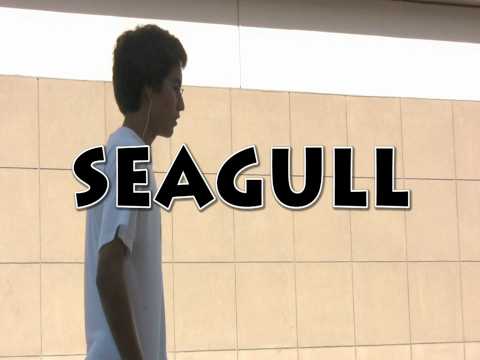 30 seconds with a SEAGULL
