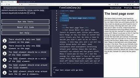 Define the Head and Body of an HTML Document Free Code Camp Org Basic HTML and HTML5