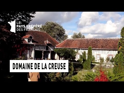 Vidéo: Lys D'Amazone Dans La Maison