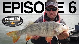PERCH PRO 5 - Episode 6 - The Topwater War (with French & German subtitles, Polish coming soon)