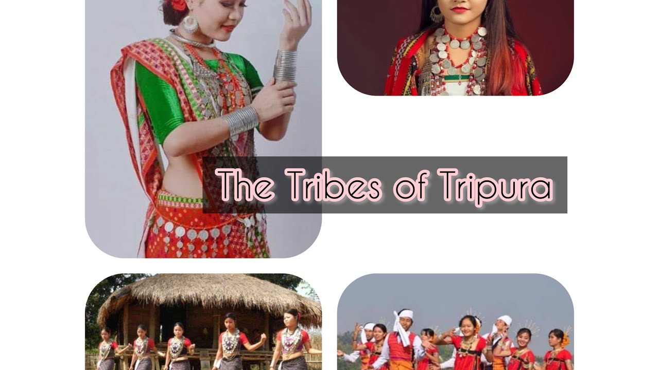 The Tribes of Tripura ||Assignment - YouTube