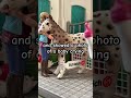 I LOVE this model 😛 #schleich #schleichhorses #horse #horses #models #unboxing #horsemodels Mp3 Song