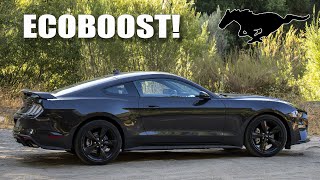 2022 Mustang Ecoboost -  The Right Way To Order It!