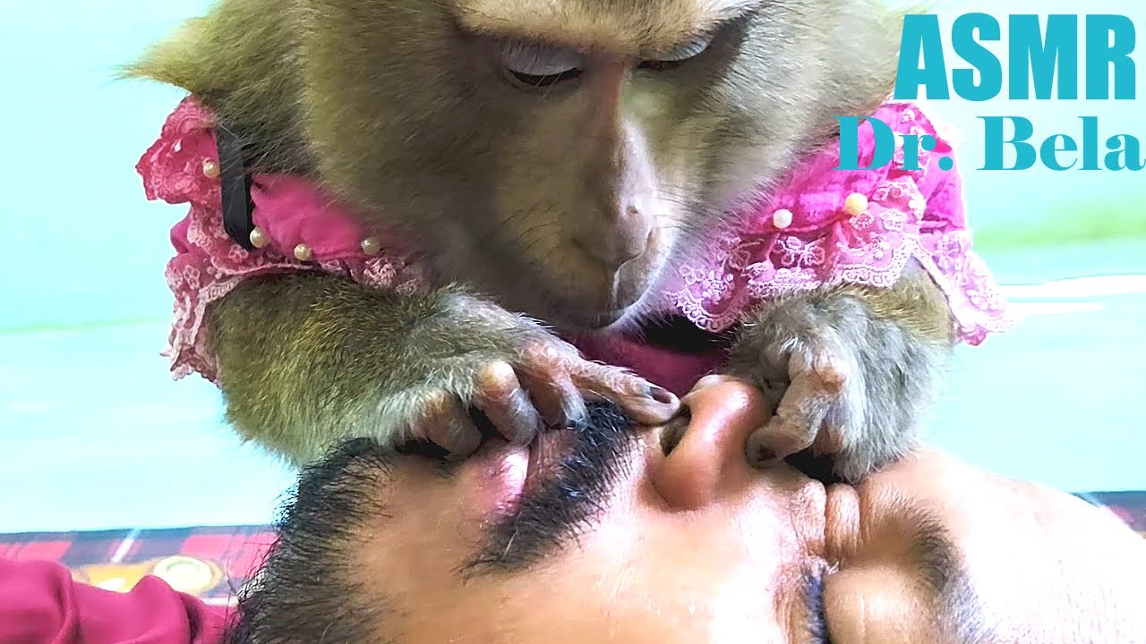 ASMR Dr. Nose BELA  Verify Nose Hole Still Has Hair Being Remove