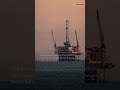 Trump's 'Drill, Baby, Drill' Demand Ignites UK Energy Clash #EnergyPolicy #Shorts #wnt