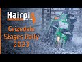 Grizedale stages rally 2023  crash spin and snow