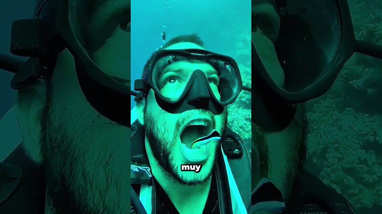 Este pez tiene un trabajo muy importante