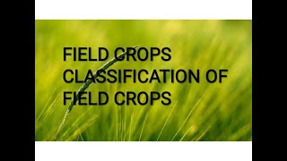 crops || field crops || classification of field crops # Agribasic