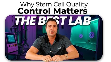 Why Stem Cell Quality Control Matters