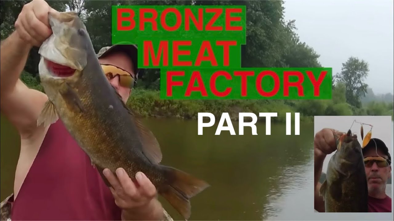 Big smallmouth love a spinnerbait.  And some top water catches. Susquehanna River.