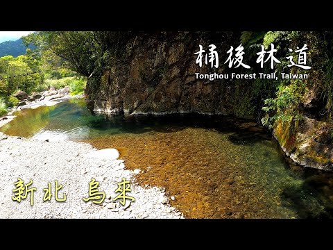 【旅遊紀事】桶後林道 產業道路 新北烏來 Tonghou Forest Trail, Wulai, Taiwan