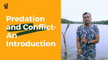 PREDATION | CONFLICT | AN INTRODUCTION | #3 LECTURE