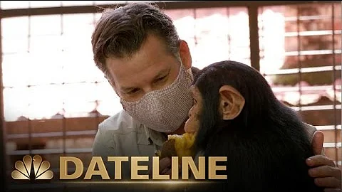On Assignment | Richard Engel Meets Orphaned Baby Chimps from the Congo | Dateline NBC